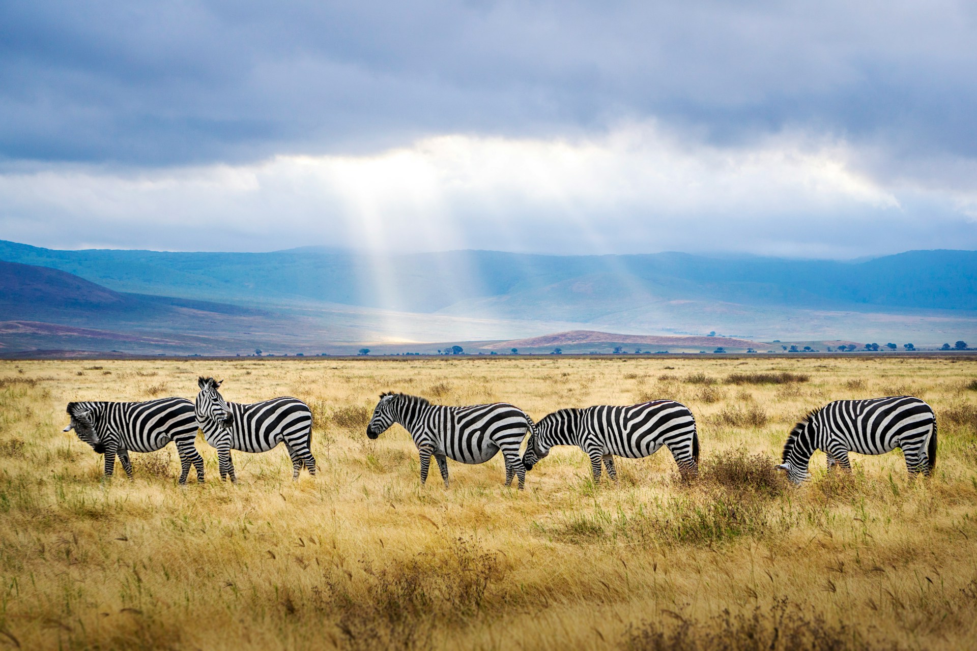 Ngorongoro Crater in Tanzania Travel Guide 4